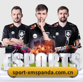 sport-xmspanda.com.cn五大内容板块,覆盖赛事直播与实时比分